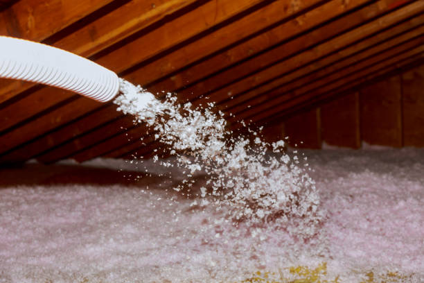 Best Geographic-Specific Insulation Services in St Martinville, LA