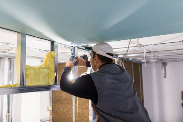 Types of Insulation We Offer in St Martinville, LA