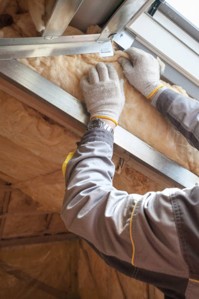 Best Commercial Insulation in St Martinville, LA