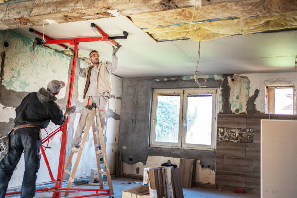 Best Specialized Insulation Services in St Martinville, LA